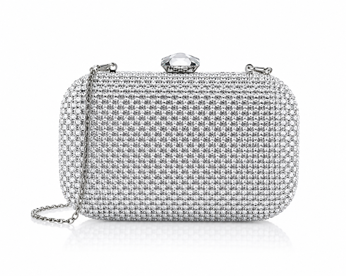 Bolsos y carteras de fiesta