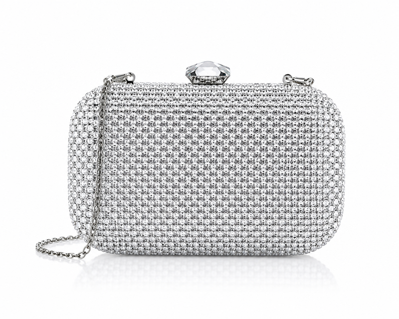 Bolsos y carteras de fiesta