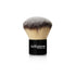 Kabuki Brush - Bellapierrechile