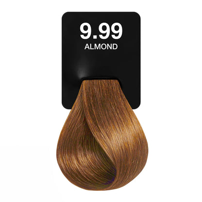 Cream Color Tonos Chocolate