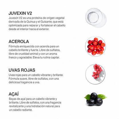 Tratamiento de alisado THE BEST ACAI 300 ML / Hair Smoothing Treatment THE BEST ACAI 300 ML